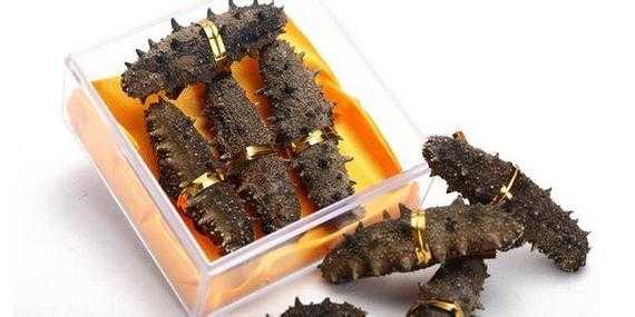 全世界海参产地最好的排名,哪里的海参好又便宜-第3张图片-厨房小当家 全世界海参产地最好的排名,哪里的海参好又便宜-第3张图片-厨房小当家