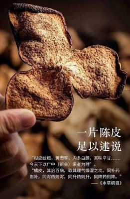 中国三大陈皮产地,陈皮哪里的好?-第2张图片-厨房小当家 中国三大陈皮产地,陈皮哪里的好?-第2张图片-厨房小当家