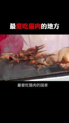 哪里吃猫肉(中国哪里吃猫肉)-第2张图片-厨房小当家 哪里吃猫肉(中国哪里吃猫肉)-第2张图片-厨房小当家