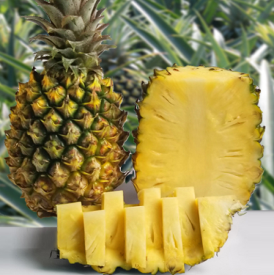 海南凤梨与徐闻哪个好,哪里的凤梨好吃又甜-第2张图片-厨房小当家 海南凤梨与徐闻哪个好,哪里的凤梨好吃又甜-第2张图片-厨房小当家