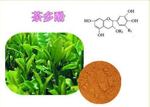 茶里怎么样(茶叶中有钠元素吗)-第2张图片-厨房小当家 茶里怎么样(茶叶中有钠元素吗)-第2张图片-厨房小当家