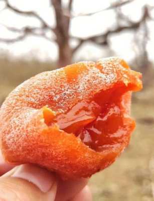 哪里柿饼最好吃(哪个牌子的柿饼最好吃又健康)-第1张图片-厨房小当家 哪里柿饼最好吃(哪个牌子的柿饼最好吃又健康)-第1张图片-厨房小当家
