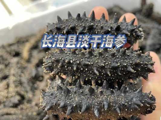 哪里产的海参好（哪里产的海参好）-第3张图片-厨房小当家