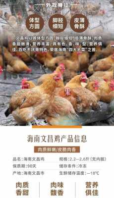 文昌鸡正宗老字号,海南文昌鸡哪里最正宗-第1张图片-厨房小当家 文昌鸡正宗老字号,海南文昌鸡哪里最正宗-第1张图片-厨房小当家