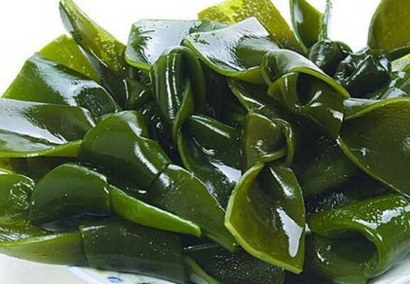 海带生活在哪里(海带的生活周期有多长)-第3张图片-厨房小当家 海带生活在哪里(海带的生活周期有多长)-第3张图片-厨房小当家