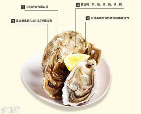生蚝哪里不能吃图解(生蚝哪儿不能吃)-第1张图片-厨房小当家 生蚝哪里不能吃图解(生蚝哪儿不能吃)-第1张图片-厨房小当家