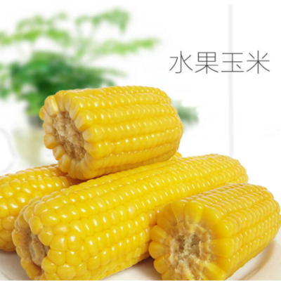 水果玉米哪里产的好吃(水果玉米哪里产的好吃又甜)-第1张图片-厨房小当家 水果玉米哪里产的好吃(水果玉米哪里产的好吃又甜)-第1张图片-厨房小当家