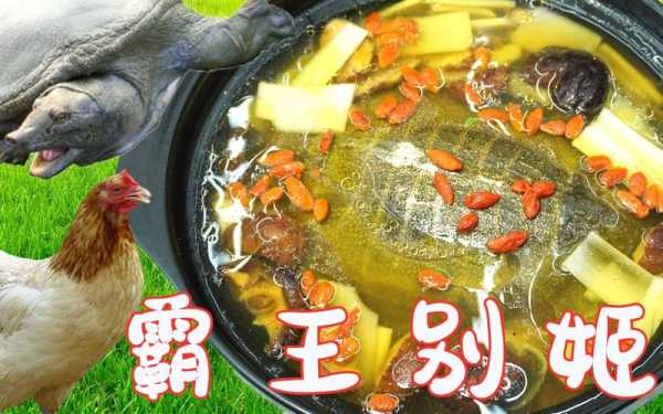 霸王别姬是哪里的菜系(霸王别姬菜品的做法)-第3张图片-厨房小当家 霸王别姬是哪里的菜系(霸王别姬菜品的做法)-第3张图片-厨房小当家
