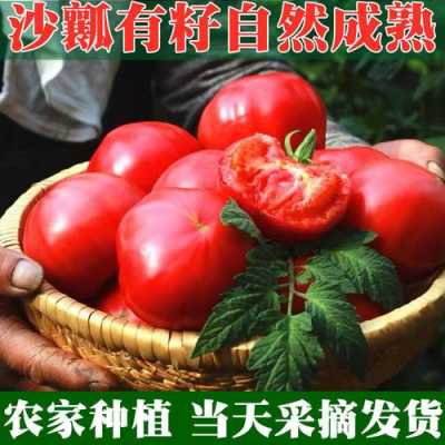哪里的西红柿最好吃(哪里的西红柿最好吃最出名)-第3张图片-厨房小当家 哪里的西红柿最好吃(哪里的西红柿最好吃最出名)-第3张图片-厨房小当家