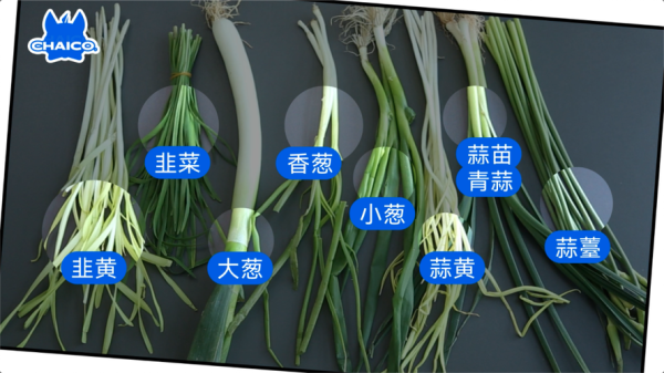 蒜苔哪里不能吃(蒜苔哪里不可以吃)-第3张图片-厨房小当家 蒜苔哪里不能吃(蒜苔哪里不可以吃)-第3张图片-厨房小当家