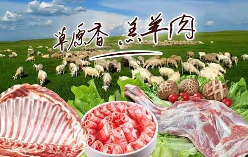 中国十大羊肉之乡,内蒙哪里羊肉好吃-第3张图片-厨房小当家 中国十大羊肉之乡,内蒙哪里羊肉好吃-第3张图片-厨房小当家