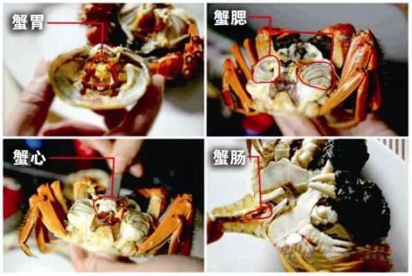 公螃蟹吃哪里,蟹吃什么地方-第1张图片-厨房小当家 公螃蟹吃哪里,蟹吃什么地方-第1张图片-厨房小当家