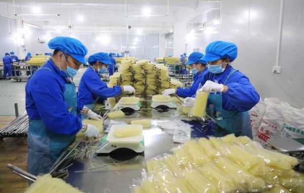 米粉厂的利润怎么样(开个米粉加工厂有利润吗)-第3张图片-厨房小当家 米粉厂的利润怎么样(开个米粉加工厂有利润吗)-第3张图片-厨房小当家