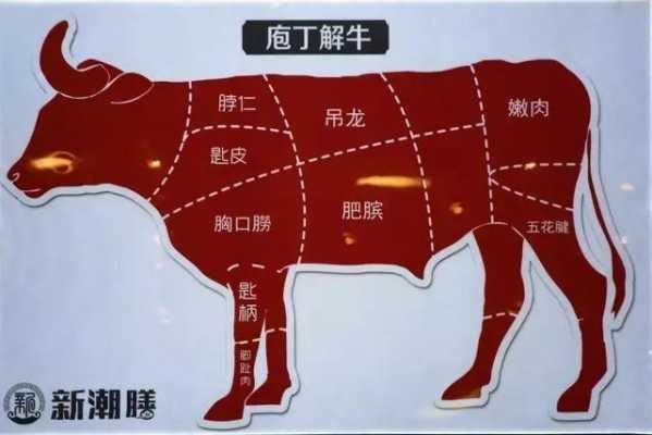 各个国家牛肉的优缺点,牛肉哪里的最好吃-第2张图片-厨房小当家 各个国家牛肉的优缺点,牛肉哪里的最好吃-第2张图片-厨房小当家