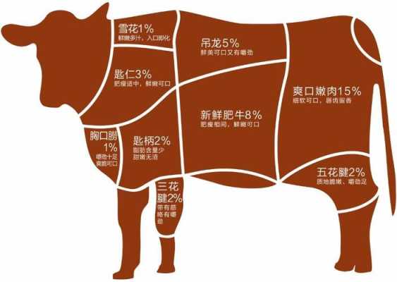 各个国家牛肉的优缺点,牛肉哪里的最好吃-第1张图片-厨房小当家 各个国家牛肉的优缺点,牛肉哪里的最好吃-第1张图片-厨房小当家