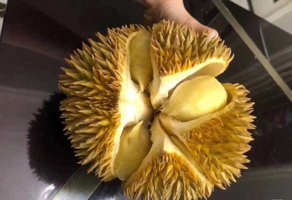 榴莲哪里出产的最好吃,榴莲哪里的好吃又便宜-第1张图片-厨房小当家 榴莲哪里出产的最好吃,榴莲哪里的好吃又便宜-第1张图片-厨房小当家