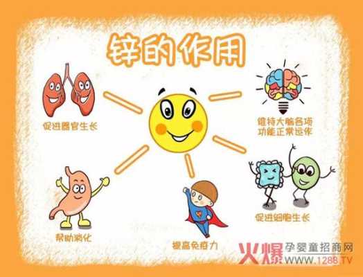 锌主要存在于哪里,哪里有锌片-第1张图片-厨房小当家 锌主要存在于哪里,哪里有锌片-第1张图片-厨房小当家