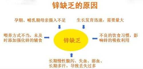 锌主要存在于哪里,哪里有锌片-第3张图片-厨房小当家 锌主要存在于哪里,哪里有锌片-第3张图片-厨房小当家