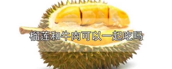 榴莲吃哪里(榴莲里面哪些可以吃)-第3张图片-厨房小当家 榴莲吃哪里(榴莲里面哪些可以吃)-第3张图片-厨房小当家