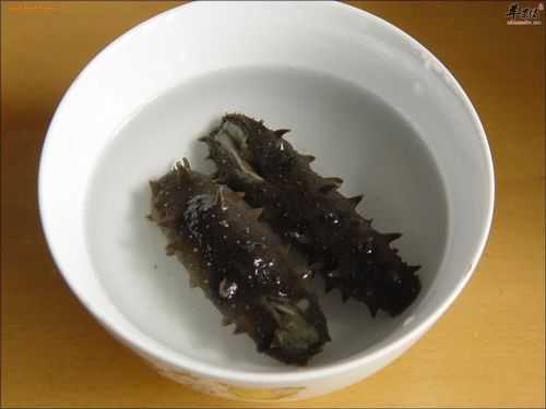 海参哪里好(海参哪里好吃)-第1张图片-厨房小当家 海参哪里好(海参哪里好吃)-第1张图片-厨房小当家