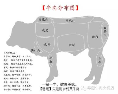 牛肉哪里嫩（哪个部位的牛肉最嫩）-第3张图片-厨房小当家
