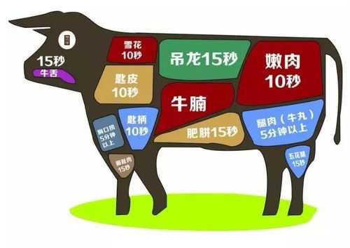 牛肉哪里嫩（哪个部位的牛肉最嫩）-第2张图片-厨房小当家