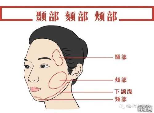 下巴是哪里(下颏与下颌的区别)-第1张图片-厨房小当家 下巴是哪里(下颏与下颌的区别)-第1张图片-厨房小当家