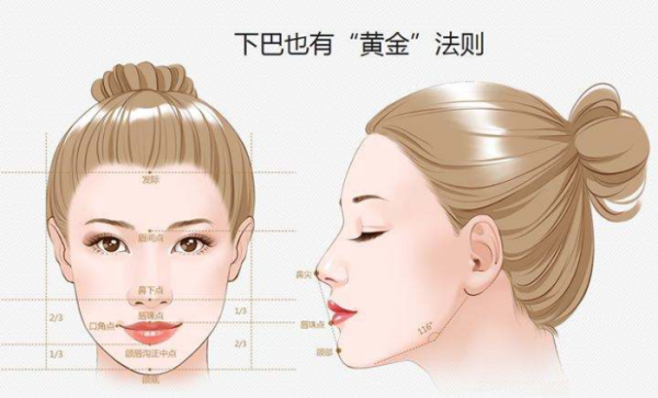 下巴是哪里(下颏与下颌的区别)-第2张图片-厨房小当家 下巴是哪里(下颏与下颌的区别)-第2张图片-厨房小当家