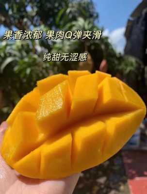哪里的芒果好吃(哪里的芒果好吃又便宜)-第1张图片-厨房小当家 哪里的芒果好吃(哪里的芒果好吃又便宜)-第1张图片-厨房小当家