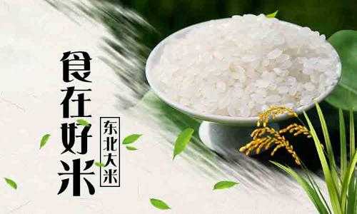大米是东北的好,还是内蒙的好,哪里大米最好吃最正宗-第1张图片-厨房小当家 大米是东北的好,还是内蒙的好,哪里大米最好吃最正宗-第1张图片-厨房小当家