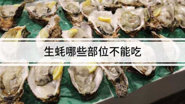 生蚝哪些地方可以吃,生蚝哪里能吃哪里不能吃图解-第3张图片-厨房小当家 生蚝哪些地方可以吃,生蚝哪里能吃哪里不能吃图解-第3张图片-厨房小当家