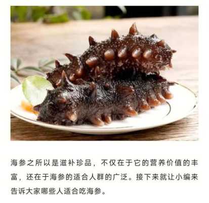 海参去哪里买(海参去哪里买好)-第2张图片-厨房小当家 海参去哪里买(海参去哪里买好)-第2张图片-厨房小当家