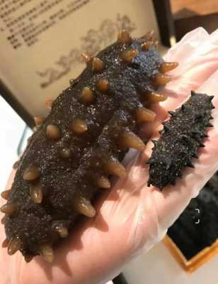 海参去哪里买(海参去哪里买好)-第3张图片-厨房小当家 海参去哪里买(海参去哪里买好)-第3张图片-厨房小当家