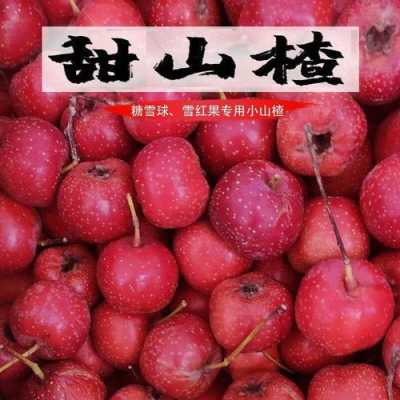 山楂哪里的好(小山楂哪里的好)-第3张图片-厨房小当家 山楂哪里的好(小山楂哪里的好)-第3张图片-厨房小当家