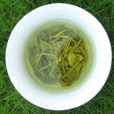 高山绿茶哪个地方产最好,哪里的绿茶好喝-第3张图片-厨房小当家 高山绿茶哪个地方产最好,哪里的绿茶好喝-第3张图片-厨房小当家