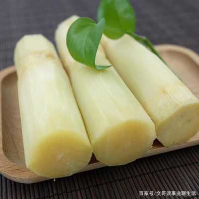 哪里甘蔗最好吃(哪里甘蔗最好吃最甜)-第1张图片-厨房小当家 哪里甘蔗最好吃(哪里甘蔗最好吃最甜)-第1张图片-厨房小当家