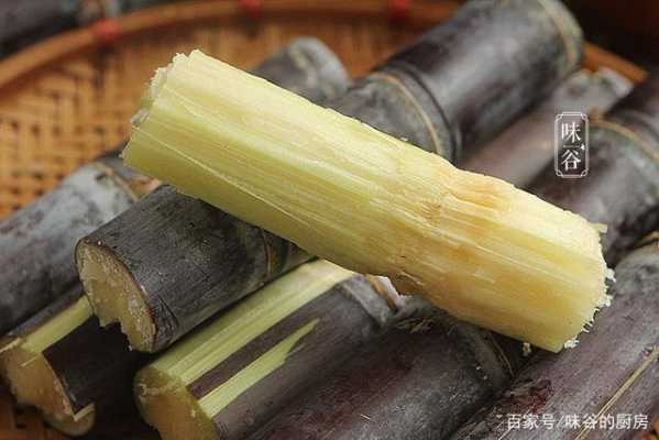 哪里甘蔗最好吃(哪里甘蔗最好吃最甜)-第2张图片-厨房小当家 哪里甘蔗最好吃(哪里甘蔗最好吃最甜)-第2张图片-厨房小当家