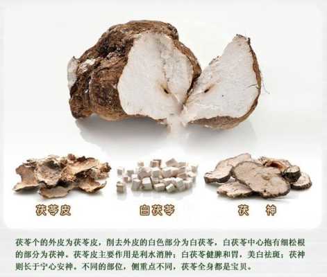 茯苓哪里的好(茯苓哪里产地最好)-第1张图片-厨房小当家 茯苓哪里的好(茯苓哪里产地最好)-第1张图片-厨房小当家