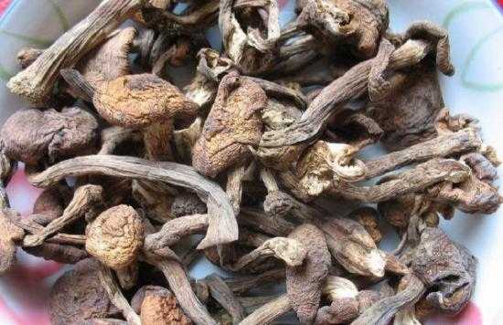 哪个地方香菇好,哪里的香菇好吃又出名-第3张图片-厨房小当家 哪个地方香菇好,哪里的香菇好吃又出名-第3张图片-厨房小当家