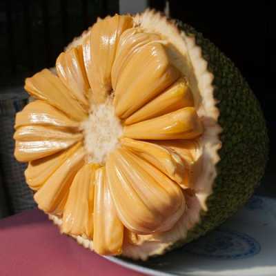 菠萝蜜哪里的好吃(红心菠萝蜜哪里产的最好)-第1张图片-厨房小当家 菠萝蜜哪里的好吃(红心菠萝蜜哪里产的最好)-第1张图片-厨房小当家