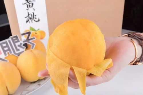 黄桃哪里的最好吃(黄桃那个地方的好吃)-第2张图片-厨房小当家 黄桃哪里的最好吃(黄桃那个地方的好吃)-第2张图片-厨房小当家