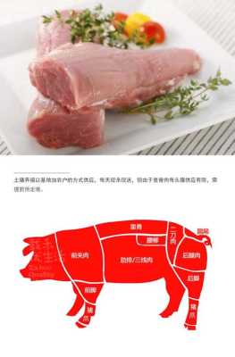 里脊是哪里的肉(里脊是哪里的肉猪哪里的肉)-第1张图片-厨房小当家 里脊是哪里的肉(里脊是哪里的肉猪哪里的肉)-第1张图片-厨房小当家