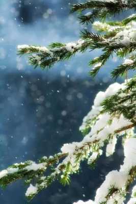 雪觅怎么样(雪残何处觅春光的出处作者)-第3张图片-厨房小当家 雪觅怎么样(雪残何处觅春光的出处作者)-第3张图片-厨房小当家