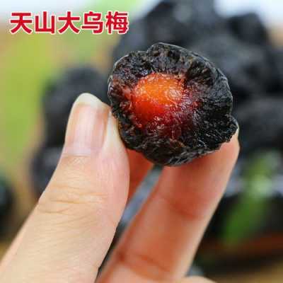 哪里的乌梅最好(天山乌梅和湖州乌梅哪个好)-第1张图片-厨房小当家 哪里的乌梅最好(天山乌梅和湖州乌梅哪个好)-第1张图片-厨房小当家