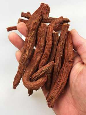 哪里的丹参最好(丹参是那里产的最好)-第1张图片-厨房小当家 哪里的丹参最好(丹参是那里产的最好)-第1张图片-厨房小当家