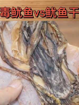 鱿鱼哪里不能吃(鱿鱼哪里不能吃)-第3张图片-厨房小当家 鱿鱼哪里不能吃(鱿鱼哪里不能吃)-第3张图片-厨房小当家