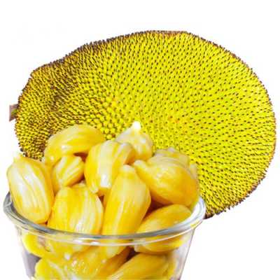 菠萝蜜哪里产,菠萝蜜哪里产的好吃-第1张图片-厨房小当家 菠萝蜜哪里产,菠萝蜜哪里产的好吃-第1张图片-厨房小当家