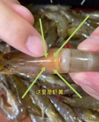 虾黄在哪里(虾黄在哪儿)-第1张图片-厨房小当家 虾黄在哪里(虾黄在哪儿)-第1张图片-厨房小当家