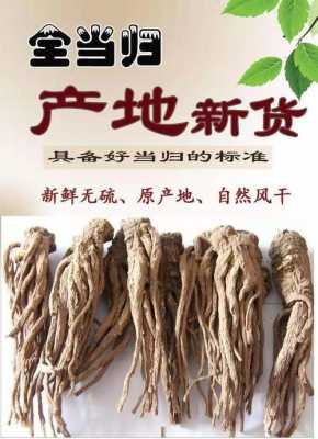 当归哪里的好(甘肃哪里的当归最好)-第2张图片-厨房小当家 当归哪里的好(甘肃哪里的当归最好)-第2张图片-厨房小当家