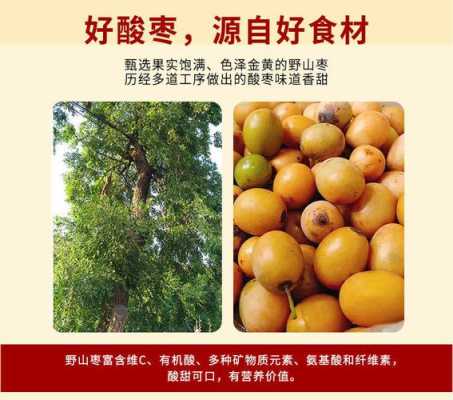酸枣是哪里(酸枣是哪里的特产)-第1张图片-厨房小当家 酸枣是哪里(酸枣是哪里的特产)-第1张图片-厨房小当家